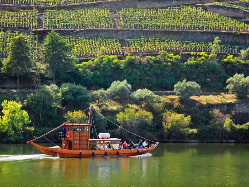Explore Amarante: Douro Valley Day Trip with Wine Tasting