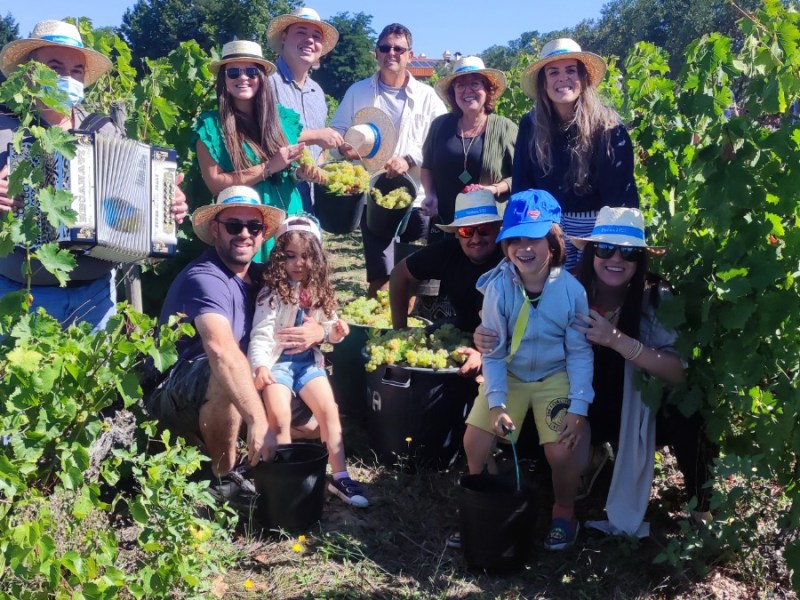 Douro Valley Harvest Experience: A Cultural Journey