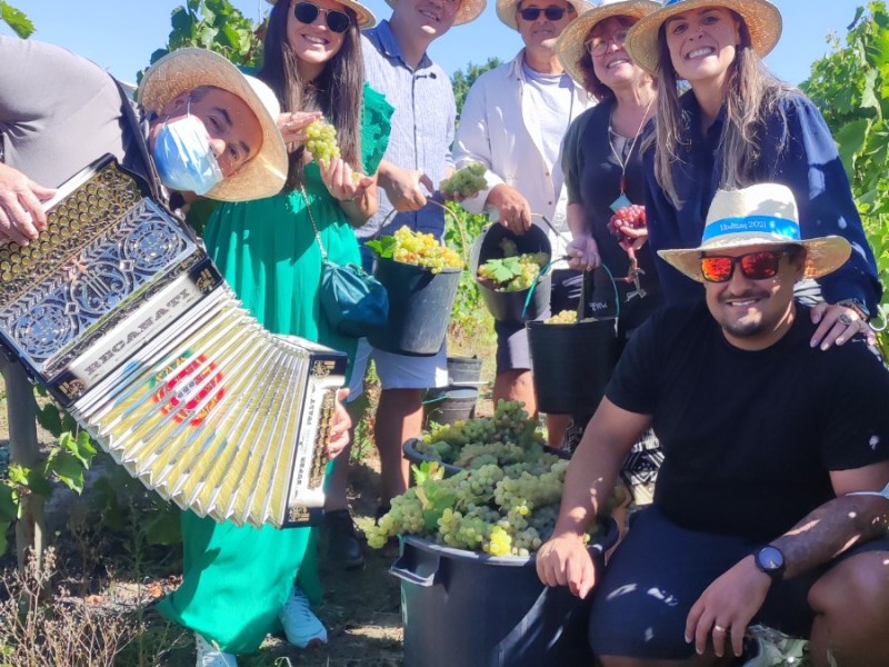 Vindima 2026: Prova de Vinhos e Almoço Tradicional